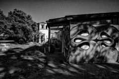 Graffiti is not dead