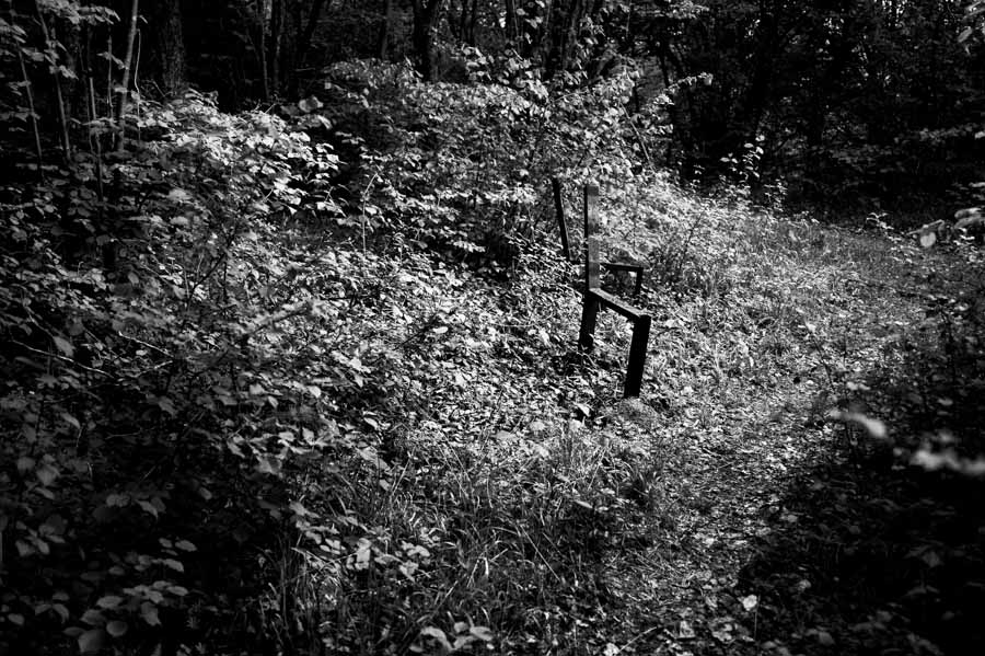 Vestiges