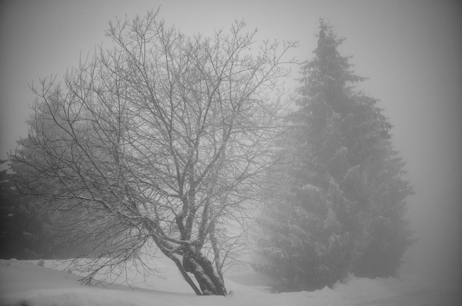 Nostalgie de l’hiver