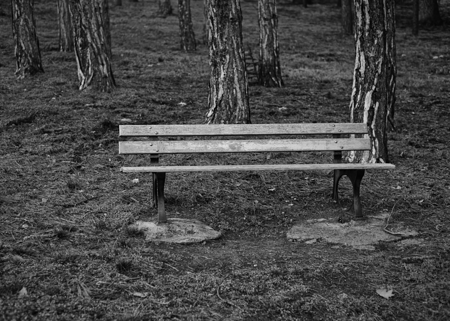 Solitude interdite