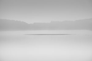 Paysage de brume